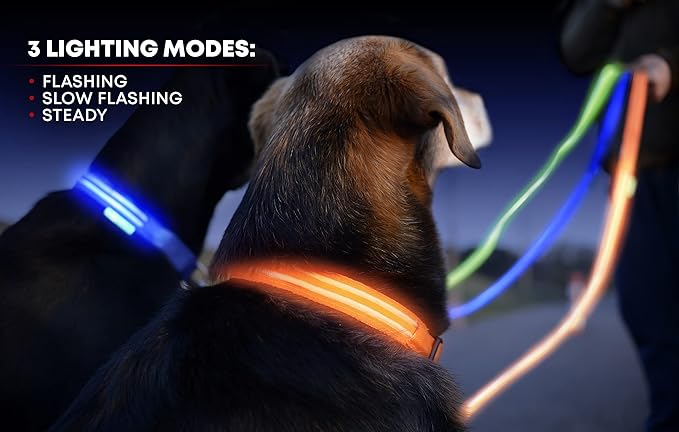 Illumiseen LED Dog Collar USB Rechargeable - Bright & High Visibility Lighted Glow Collar for Pet