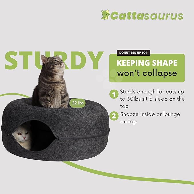 CATTASAURUS Peekaboo Cat Cave for Multiple & Large Cats Up to 30-45 Lbs, Scratch Detachable &