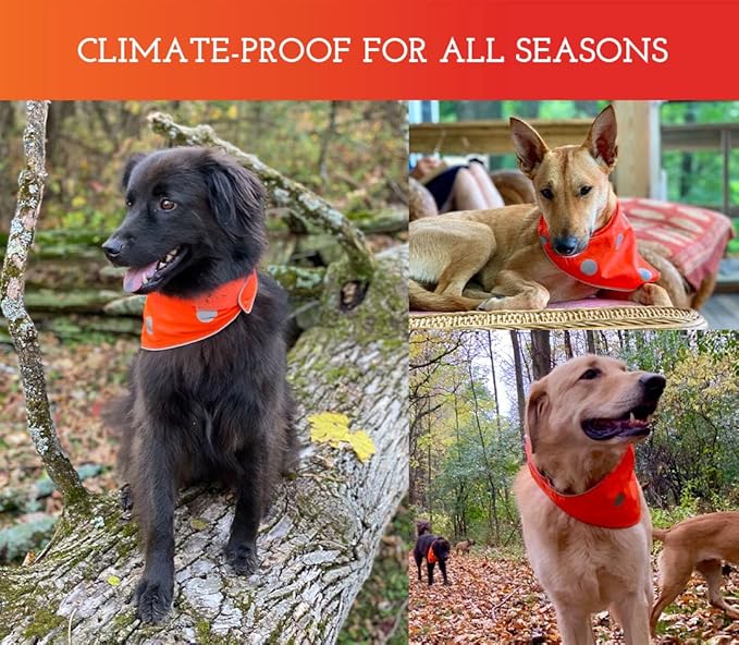 SPOT THE DOG! Reflective Dog Bandanas - High Visibility Safety Dog Accessories for Small, Large