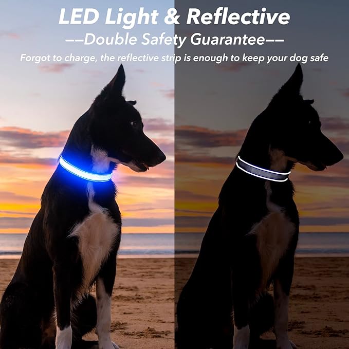 Visinite Light Up Dog Collars for Small Medium Large Dogs, Fully Adjustable LED Dog Collar USB
