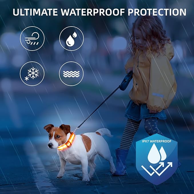 Super Bright LED Dog Collar - Fully Waterproof & Adjustable Glow Collar - USB-C Rechargeable for