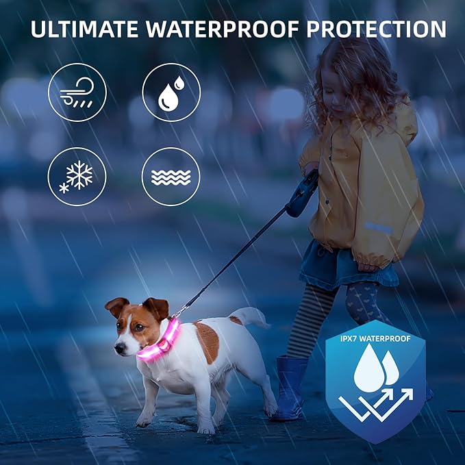 Super Bright LED Dog Collar - Fully Waterproof & Adjustable Glow Collar - USB-C Rechargeable for