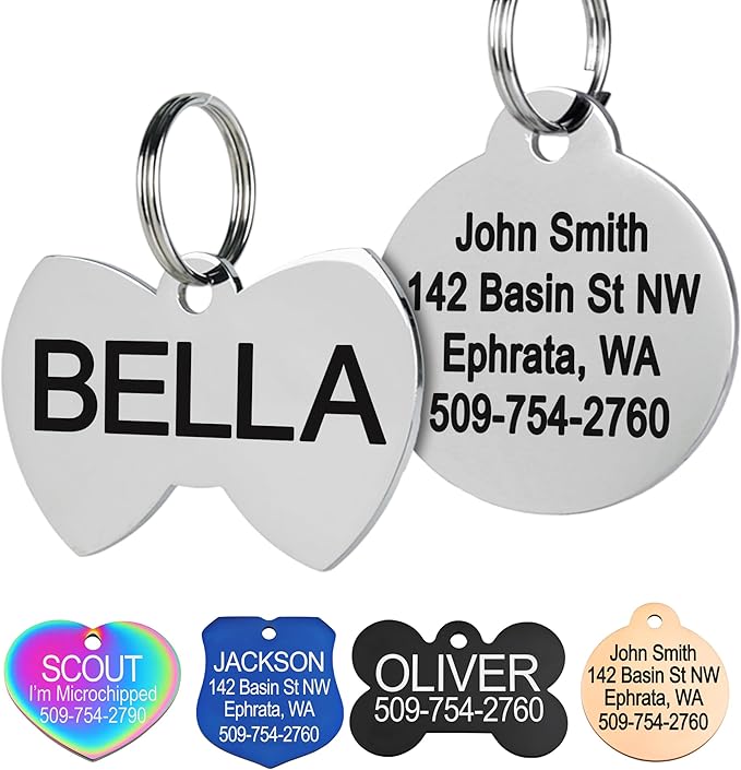 GoTags Stainless Steel Pet ID Tags, Personalized Dog Tags and Cat Tags, up to 8 Lines of Custom