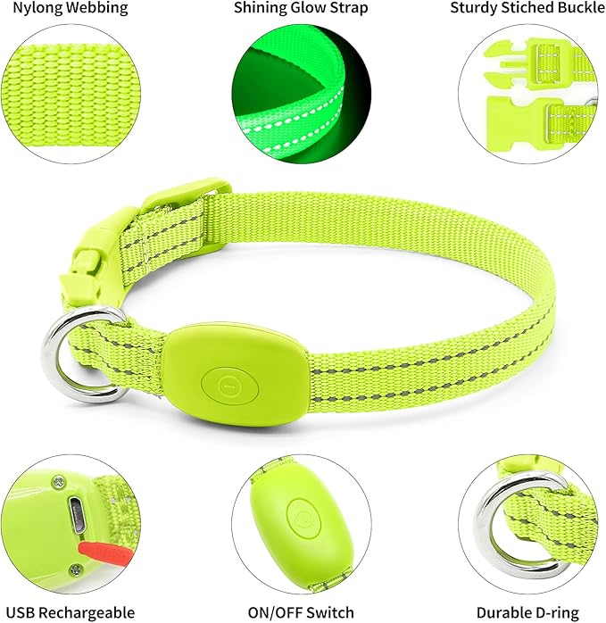 illumifun LED Dog Collar for Puppy, USB Rechargeable Light Up Collar, Lightweight Nylon Glowing Dog