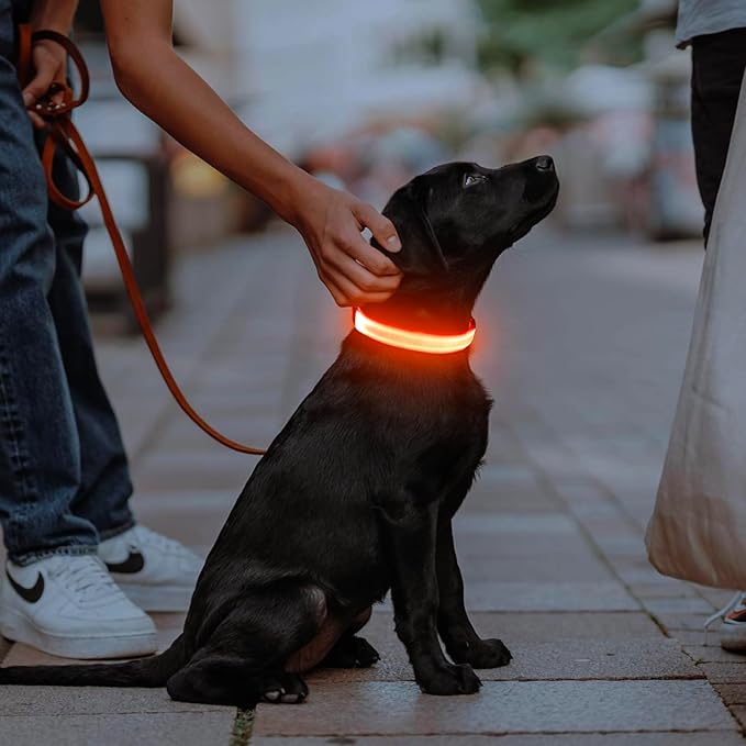 Illumifun Light Up Dog Collar, USB Rechargeable LED Dog Collar, Adjustable Lighted Safety Collar