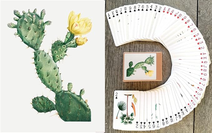 Cactus and Succulents Playing Cards (Poker Deck 54 Cards All Different) Vintage Antique Botannical