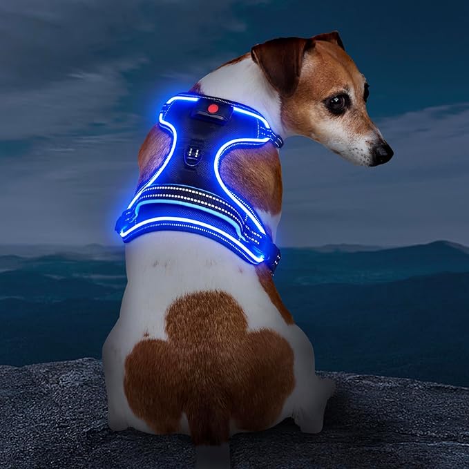 Light Up Dog Harness, No Pull LED Dog Harness with Handle, Rechargeable Lighted Safety Vest for