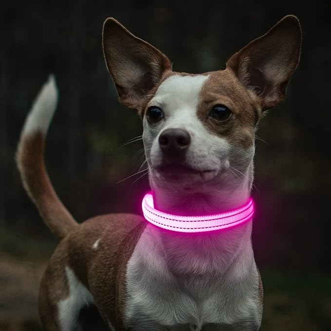 Light Up Dog Collar- Rechargeable Puppy Collars Glow in The Dark LED Dog Collar for Night Walking