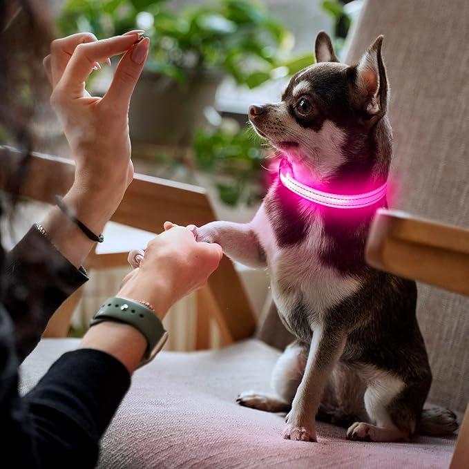 YFbrite Light up Dog Collars for Night Walking, Rechargeable LED Cat Collar, Comfortable Adjustable