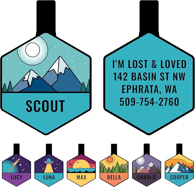 GoTags Silent Dog Tag, Personalized Engraved Hexagon Silicone Dog and Cat Name Pet ID Tags