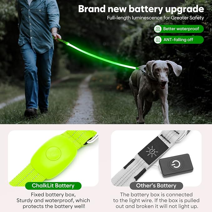 LED Dog Leash, Light Up Dog Leash 4 Ft Fully Illuminated USB Rechargeable Waterproof, Nylon