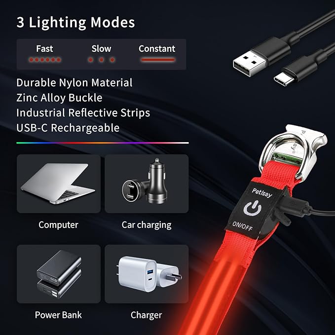 LED Dog Collar with Metal Buckle - USB Rechargeable Glow Collar for Dogs, Waterproof Light Up Dog