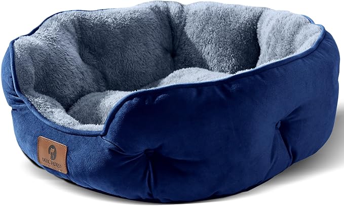 Asvin Medium Dog Bed for Medium Dogs, Large Cat Beds for Indoor Cats, Pet Bed for Puppy and Kitty