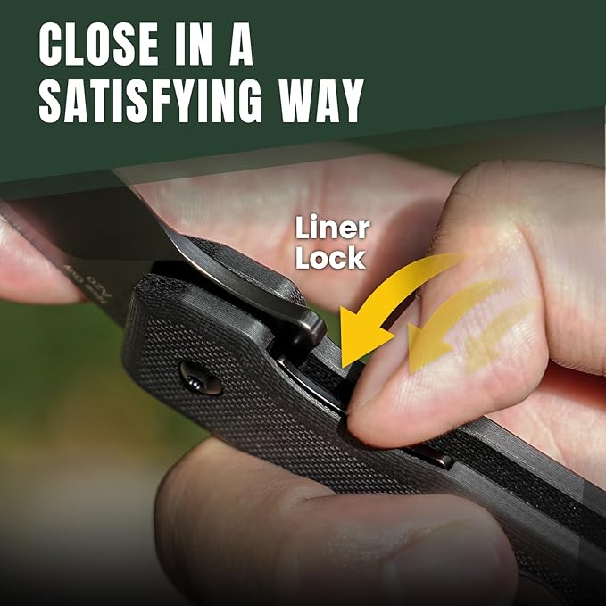 Kizer Nice Guy Pocket Folding Knife, 2.84??D2 Steel Blade knives, G10 Handle Small EDC Knife, Liner