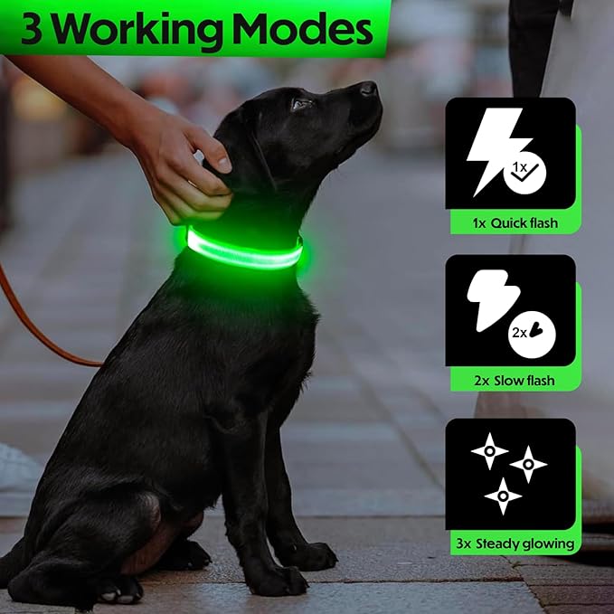 Light Up Dog Collar ??Reflective, Adjustable, Rechargeable Electronic Glow Pet Collars ??Bright