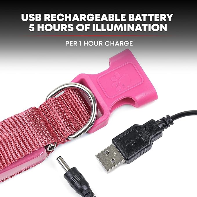 Illumiseen LED Dog Collar USB Rechargeable - Bright & High Visibility Lighted Glow Collar for Pet