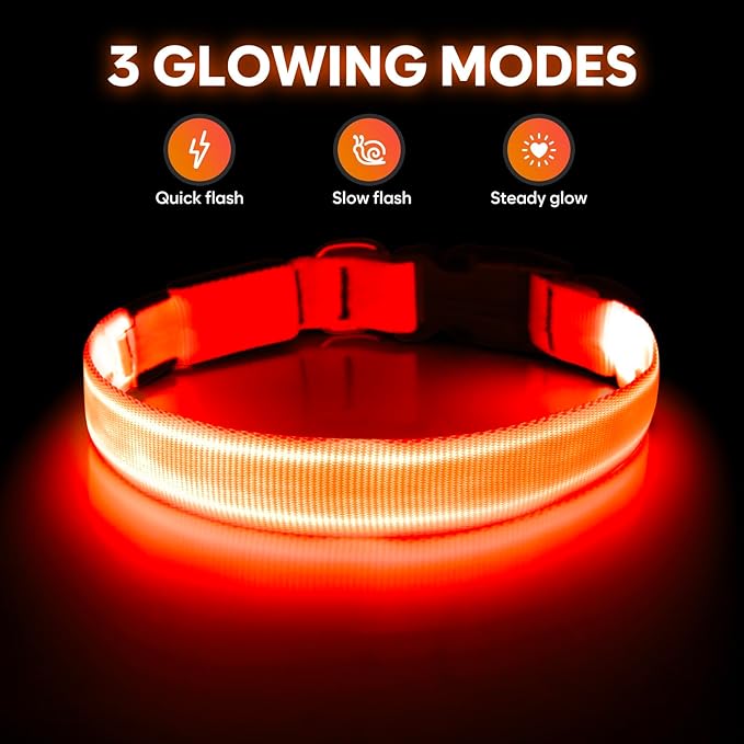 Illumifun Light Up Dog Collar, USB Rechargeable LED Dog Collar, Adjustable Lighted Safety Collar