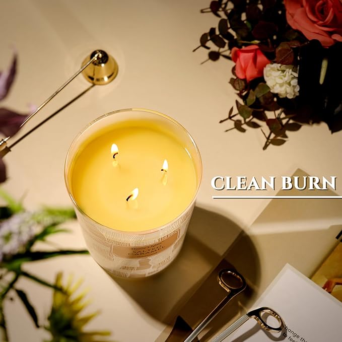 HomeLights Large jar Candle | 3-Wick Long-Lasting Scented Candles, 34oz Natural Soy Wax Candle for