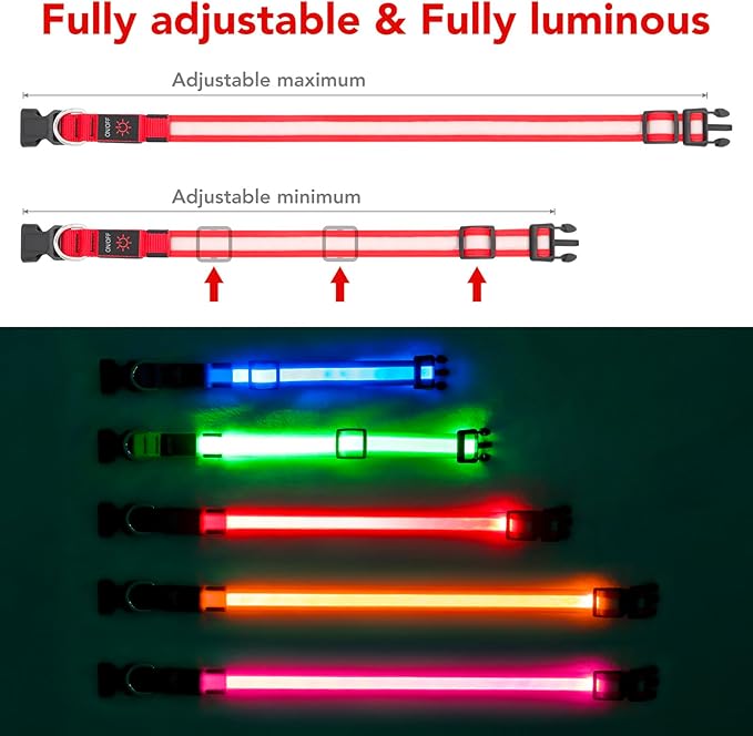 Vizpet LED Dog Collar, Light Up Dog Collar Adjustable USB Rechargeable Super Bright Safety Light