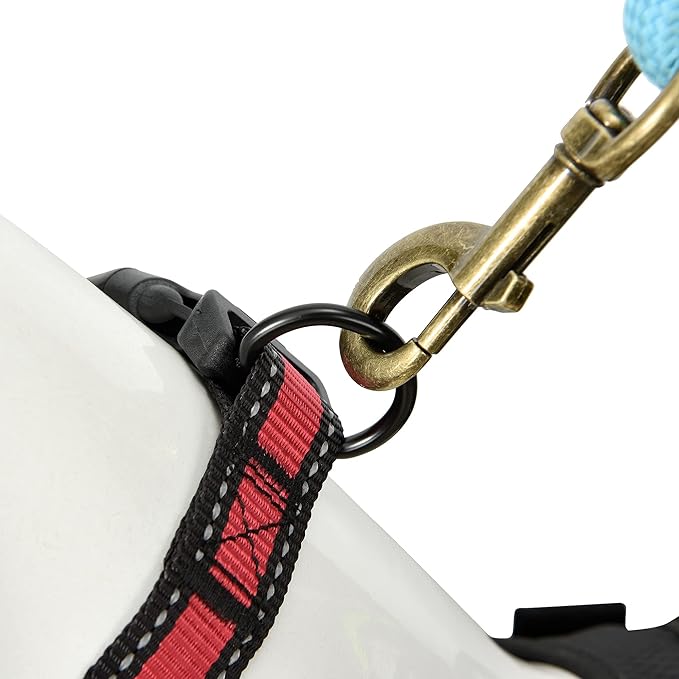 Mile High Life Dog Collar | Nylon Reflective Dog Collars | Light Weight Puppy Collars | Red Dog