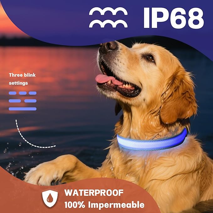DOGWONG LED Dog Collar - Heavy Duty Light up Collars - Rechargeable Waterproof - Lighted Dog Collar