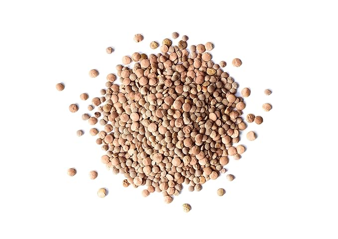 Food to Live Organic Whole Red Lentils, 10 Pounds Non-GMO, Dry Raw Lentils, Sproutable, Vegan