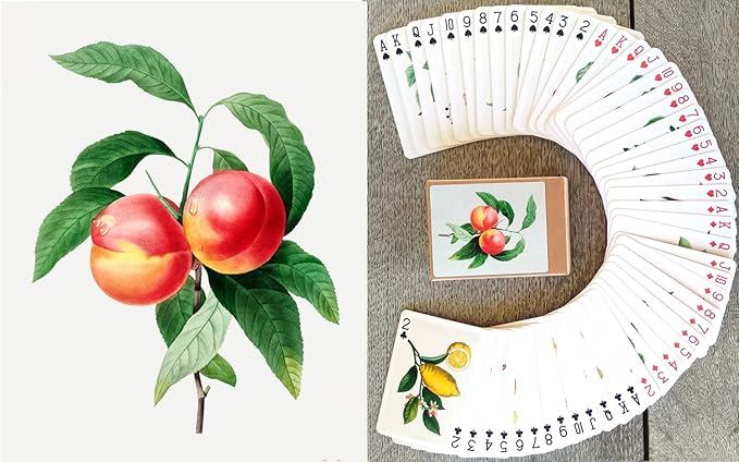 Fruits and Berries Playing Cards (Poker Deck 54 Cards All Different) Vintage Antique Botannical