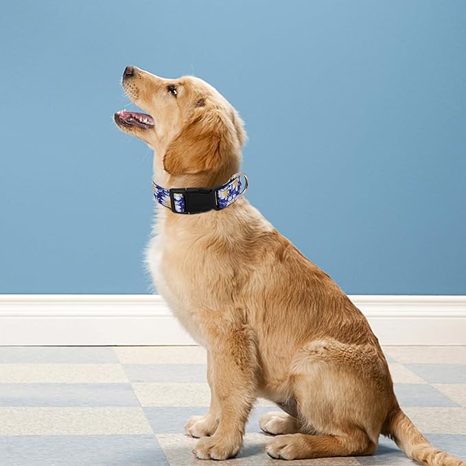 Reflective Dog Collar, Adjustable Soft Neoprene Padded Nylon Pet Collars with Buckle for Puppy and