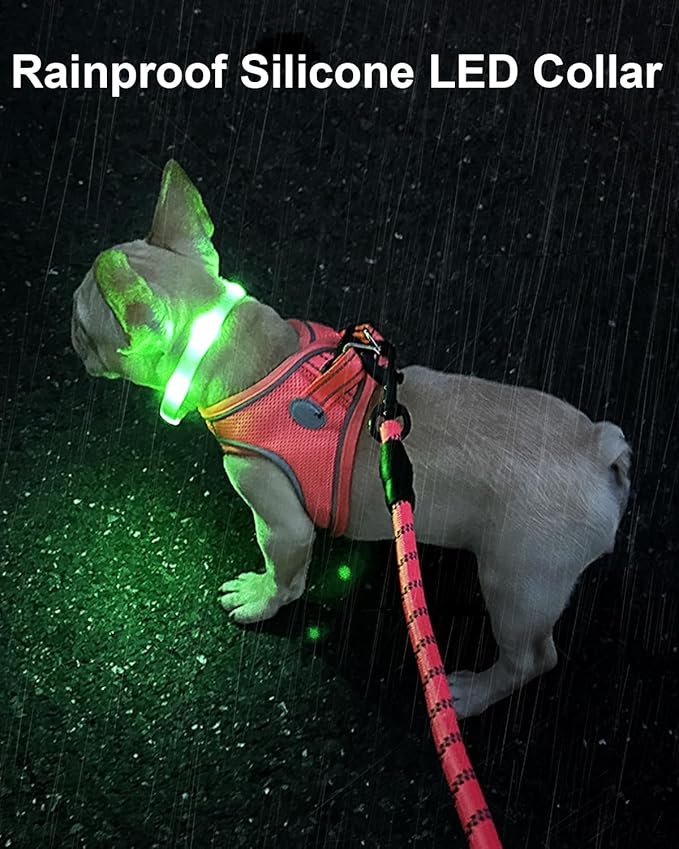 Joytale Light Up Dog Collar, Rainproof and Rechargeable LED, 9 Flashing Modes, Glow for Night