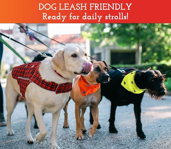 SPOT THE DOG! Reflective Dog Bandanas - High Visibility Safety Dog Accessories for Small, Large