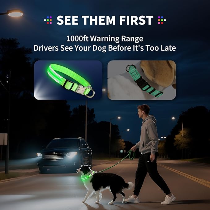 LED Dog Collar with Metal Buckle - USB Rechargeable Glow Collar for Dogs, Waterproof Light Up Dog