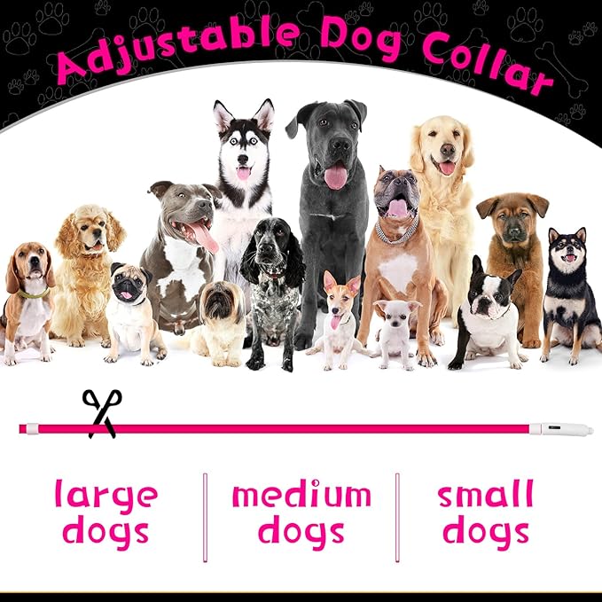 Weewooday 3 Pcs Dog Collar LED USB Rechargeable Lights Dog Necklace Collars Doggy Lights for Night