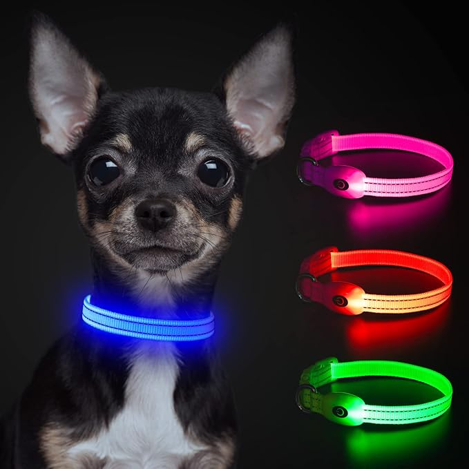 YFbrite LED Dog Collar XS, Lightweight Cat Collar Light, Comfortable Light Up Puppy Collars, USB