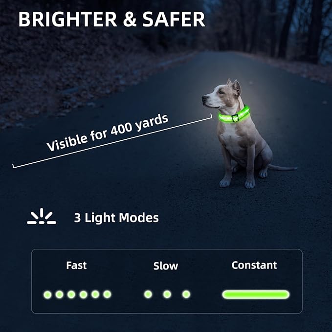 Super Bright LED Dog Collar - Fully Waterproof & Adjustable Glow Collar - USB-C Rechargeable for