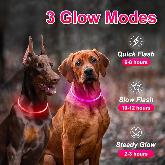 2 Packs Light Up Dog Collar, LED Dog Collar, USB Rechargeable Dog Lights for Night Walking