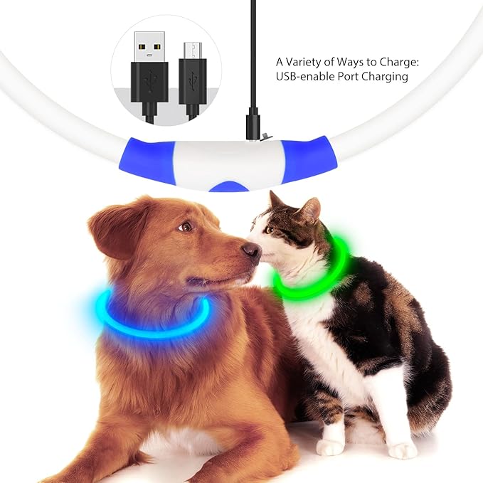 Flashseen LED Dog Collar, USB Rechargeable Glowing Lighted Up Collar, Cuttable Water-Resistant TPU