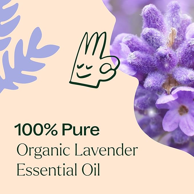 Plant Therapy Organic Lavender Essential Oil 100% Pure, USDA Certified Organic, Undiluted, Natural