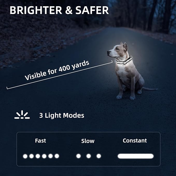 Super Bright LED Dog Collar - Fully Waterproof & Adjustable Glow Collar - USB-C Rechargeable for