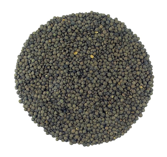 Organic French Green Lentils Whole Raw, High Fiber Non-GMO-Bulk (25LB)