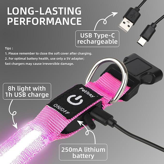 Super Bright LED Dog Collar - Fully Waterproof & Adjustable Glow Collar - USB-C Rechargeable for