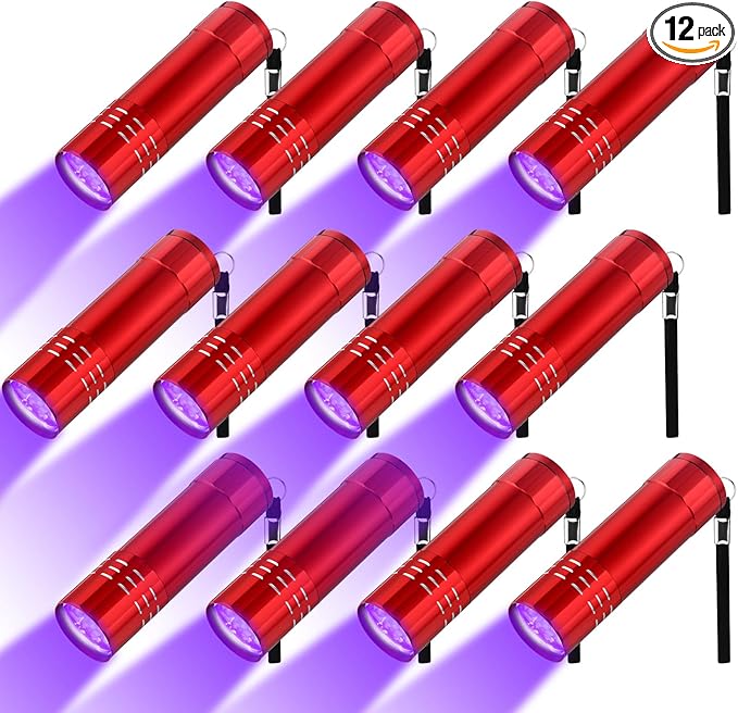 Riakrum 12 Pieces UV Blacklight Flashlights LED Handheld Mini Light Flashlight Small Portable