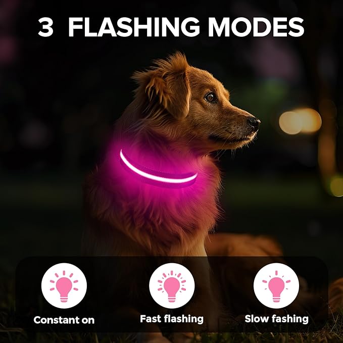 Light Up Dog Collar, Adjustable USB Rechargeable Glow in Dark Dog Collar ，Waterproof Dog Collars