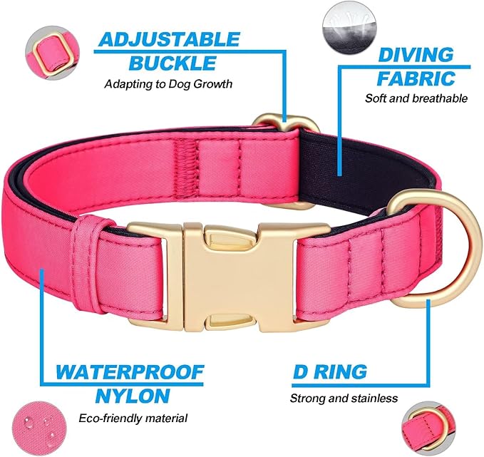 Didog Soft Padded Dog Collars for Medium Dogs, Colorful and Durable Dog Collar with Quick Release