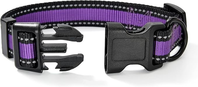 Mile High Life Dog Collar | Nylon Reflective Dog Collars | Light Weight Puppy Collars | Purple Dog