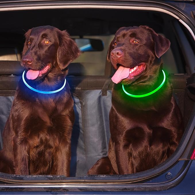 2 Packs Light Up Dog Collar, LED Dog Collar, USB Rechargeable Dog Lights for Night Walking