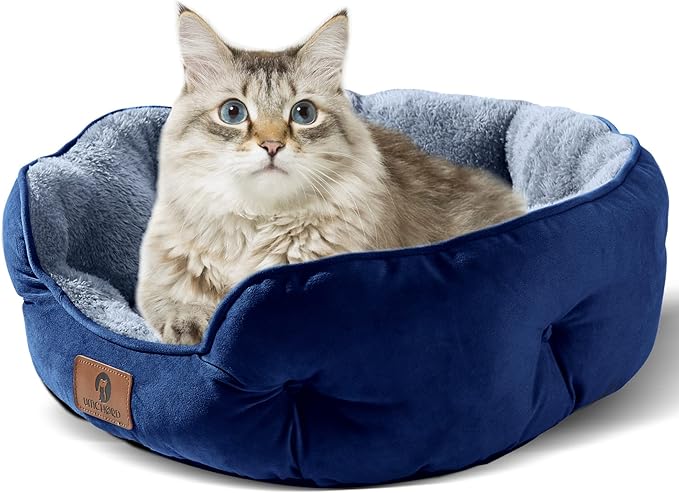 Asvin Medium Dog Bed for Medium Dogs, Large Cat Beds for Indoor Cats, Pet Bed for Puppy and Kitty