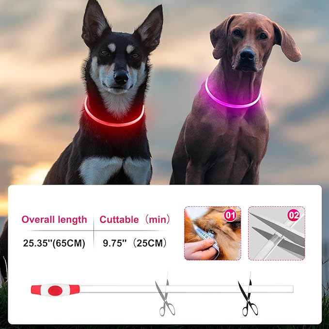 2 Packs Light Up Dog Collar, LED Dog Collar, USB Rechargeable Dog Lights for Night Walking