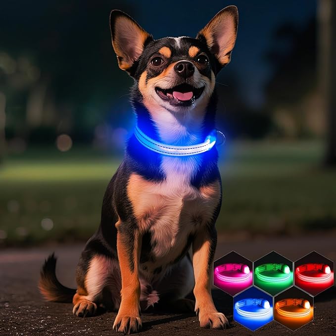 Light Up Dog Collar - Rechargeable Puppy Collar Glow in The Dark LED Dog Collar Lights for Small