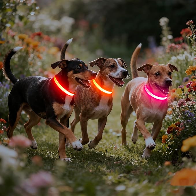 Vizpet LED Dog Collar, Light Up Dog Collar Adjustable USB Rechargeable Super Bright Safety Light