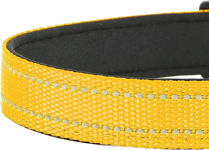 Reflective Dog Collar, Adjustable Soft Neoprene Padded Nylon Pet Collars with Buckle for Medium